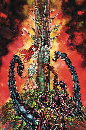 Red Sonja vs The Army of Darkness Issue #5 Variant